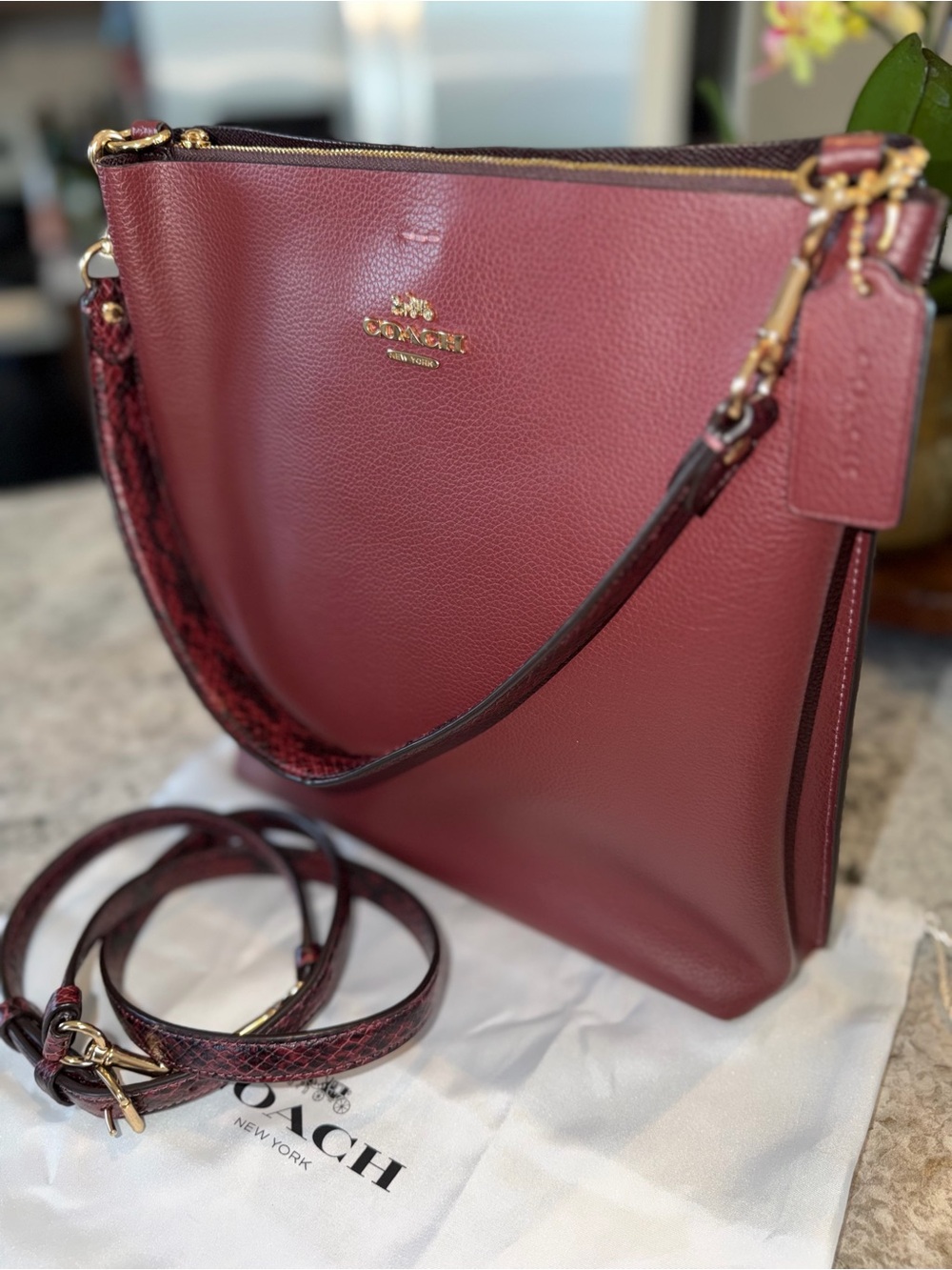 Coach Mollie Bucket (Style CC754) Wine and Python - Picture 7 of 8
